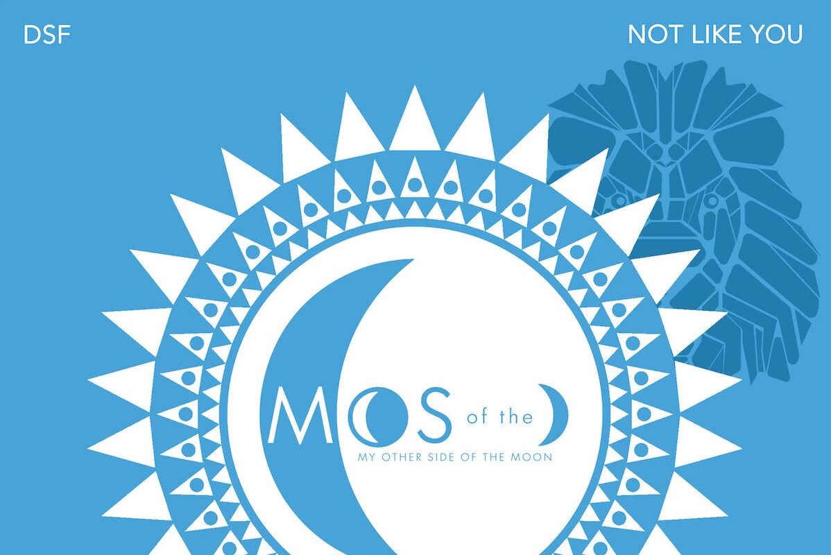 Not Like You: DSF new single for My Other Side of the Moon