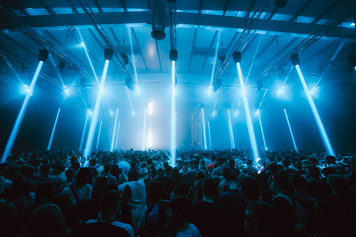 Festival 2024: our first guide